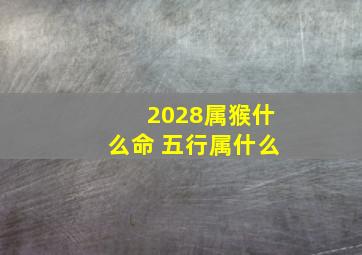 2028属猴什么命 五行属什么